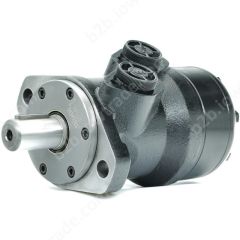 ALSG2-L-160-O2-C25-01 SILNIK HYDRAULICZNY (STANDARD)