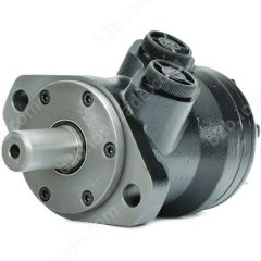 ALSG2-L-50-O2-C25-01 SILNIK HYDRAULICZNY (STANDARD)