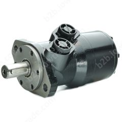 ALSG2-L-250-O2-C25-01 SILNIK HYDRAULICZNY (STANDARD)