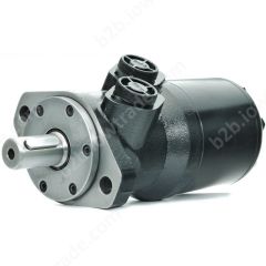 ALSG2-L-400-O2-C25-01 SILNIK HYDRAULICZNY (STANDARD)