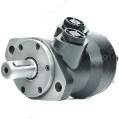 ALSG2-L-36-O2-C25-FR-01 SILNIK HYDRAULICZNY (STANDARD)