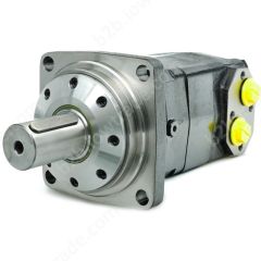 ALSG8-315-KW4-C50-02 SILNIK HYDRAULICZNY (STANDARD)