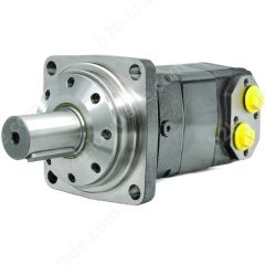 ALSG8-1000-KW4-C50-02 SILNIK HYDRAULICZNY (STANDARD)